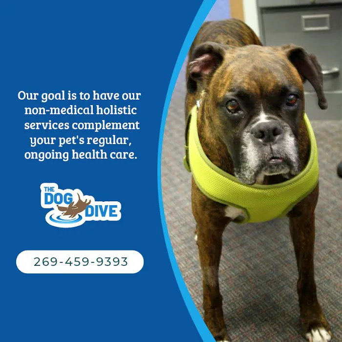 The Dog Dive, LLC Picture 8