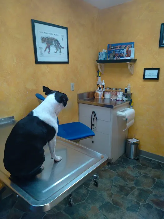 Paxton Animal Hospital Picture 1