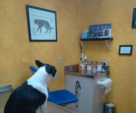 Paxton Animal Hospital