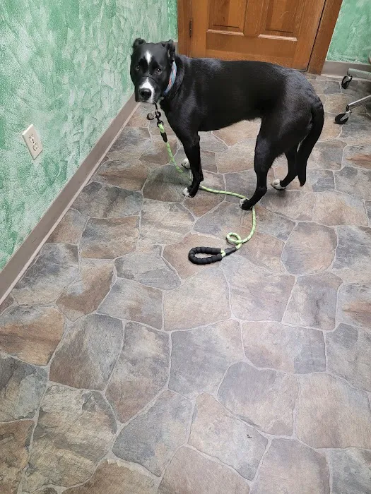 Paxton Animal Hospital Picture 9