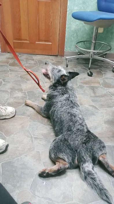 Paxton Animal Hospital Picture 7