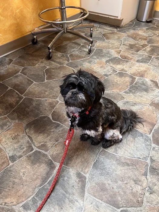 Paxton Animal Hospital Picture 10
