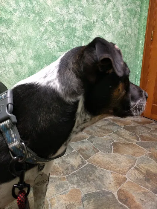 Paxton Animal Hospital Picture 5