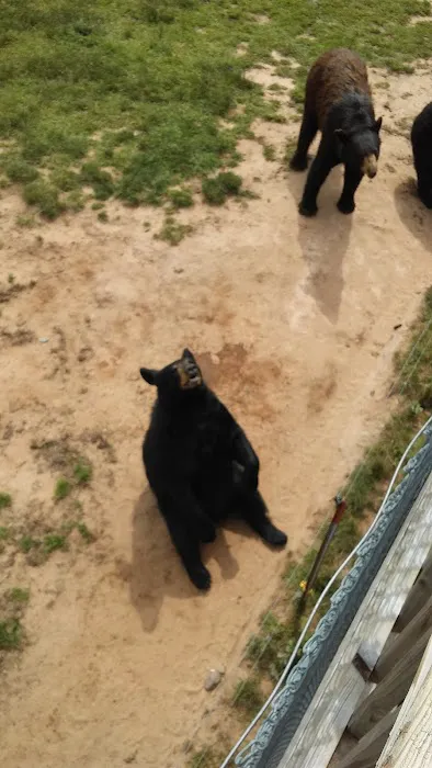 ChewMax Pet Products Picture 7