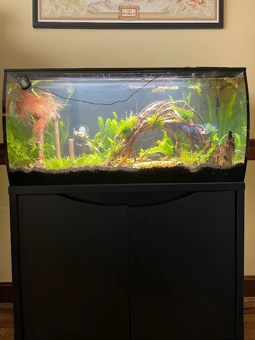 AquaCave.com Picture 9