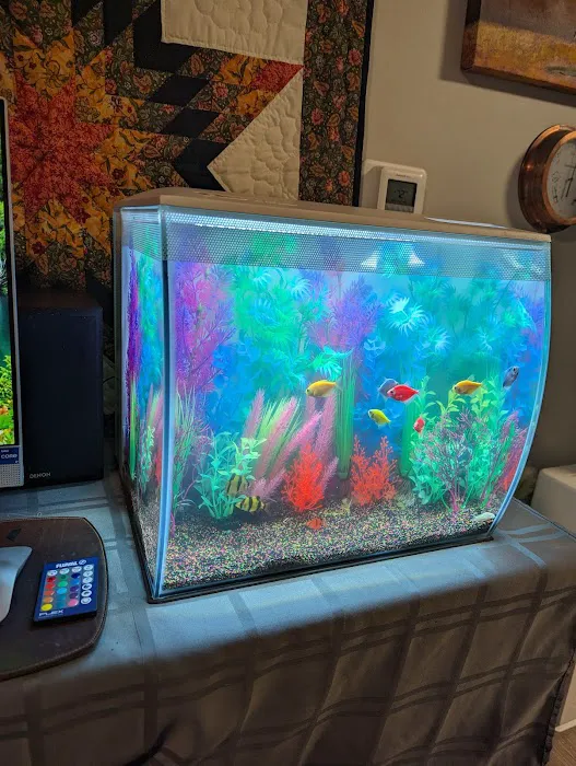 AquaCave.com Picture 6