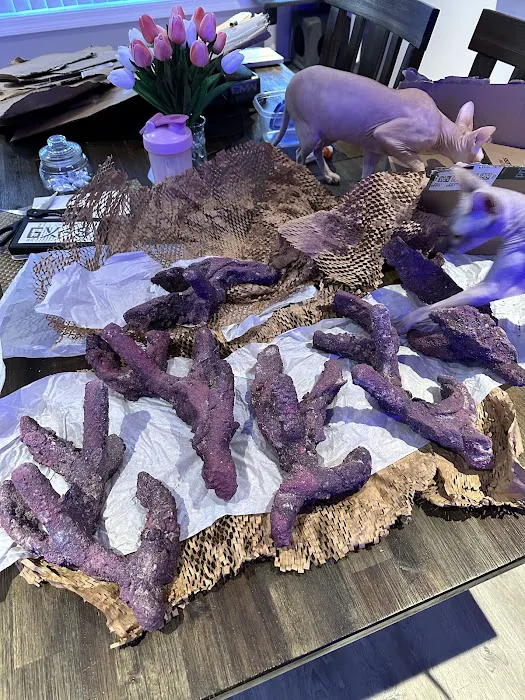 AquaCave.com Picture 10