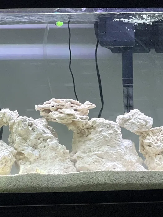 AquaCave.com Picture 5