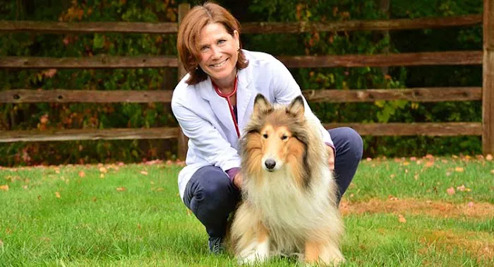 Salmon Brook Veterinary Hospital Picture 6