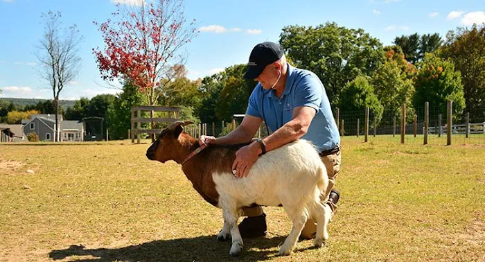 Salmon Brook Veterinary Hospital Picture 2
