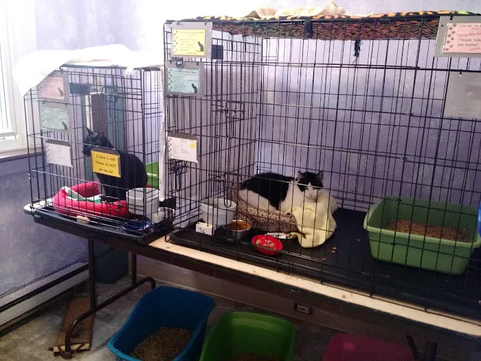 Holistic Vet - Marcie Fallek, DVM, CVA Picture 7