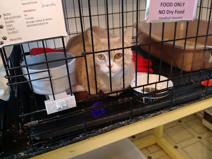 Holistic Vet - Marcie Fallek, DVM, CVA Picture 4