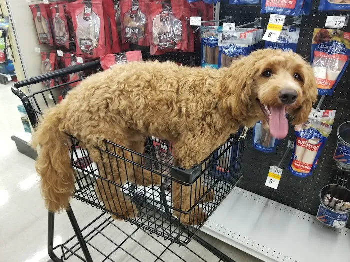 Petco Picture 4