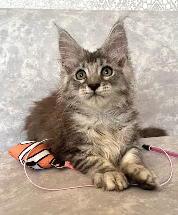 Fluffy and Adorable Corp Picture 1