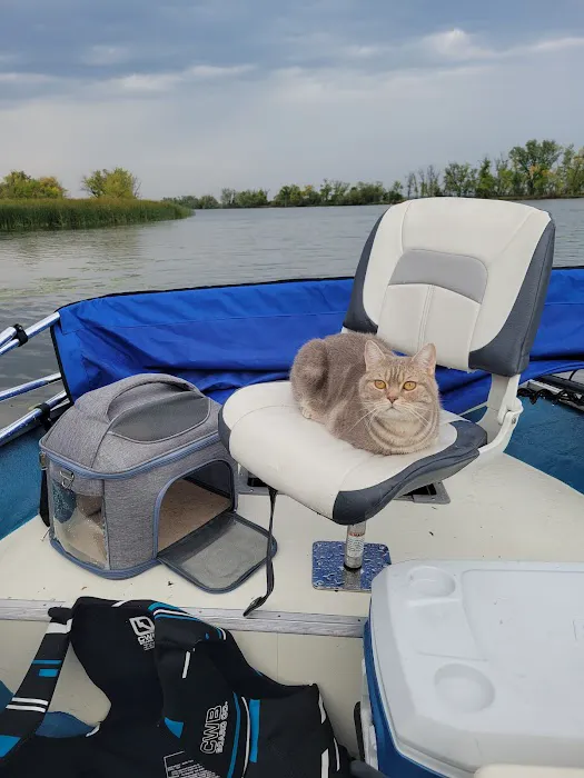 Fluffy and Adorable Corp Picture 3