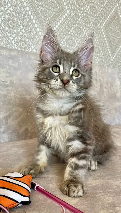 Fluffy and Adorable Corp Picture 6