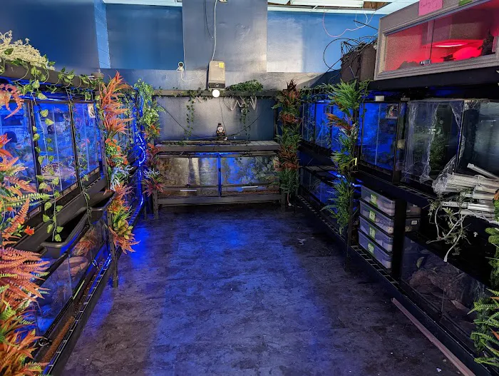 Toadally Frogs LLC Picture 2