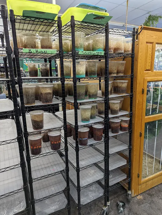 Toadally Frogs LLC Picture 6