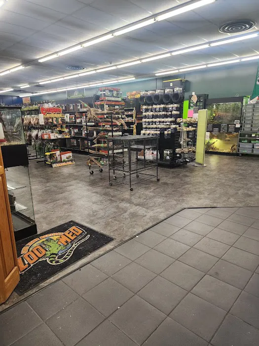 Toadally Frogs LLC Picture 3
