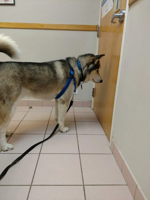 Community Animal Hospital Picture 5