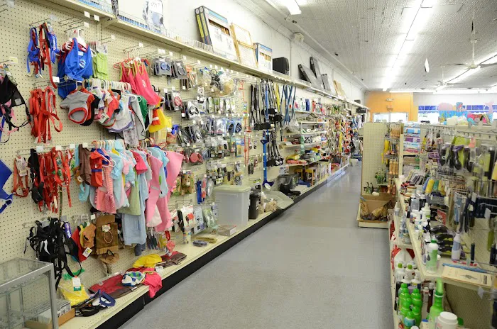 Best Pets, Ltd. Picture 9