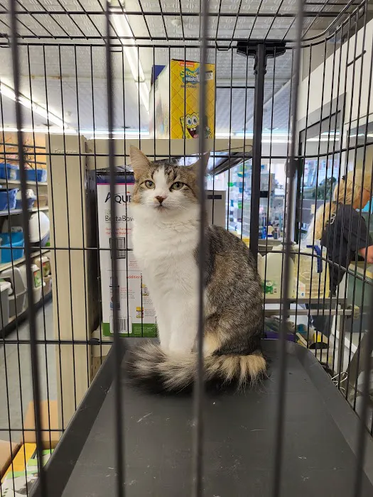 Best Pets, Ltd. Picture 7