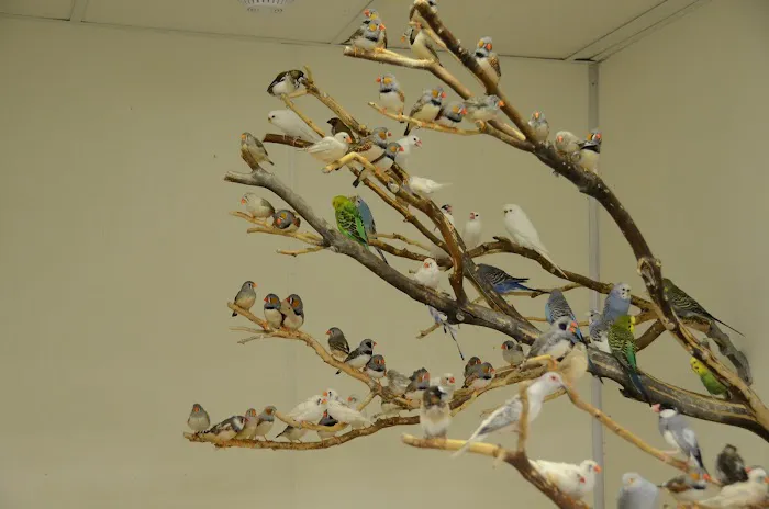 Best Pets, Ltd. Picture 6