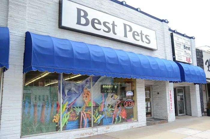 Best Pets, Ltd. Picture 1