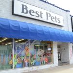 Best Pets, Ltd.