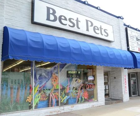 Best Pets, Ltd.