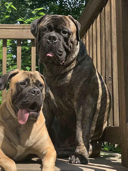 Milford Animal Hospital Picture 3