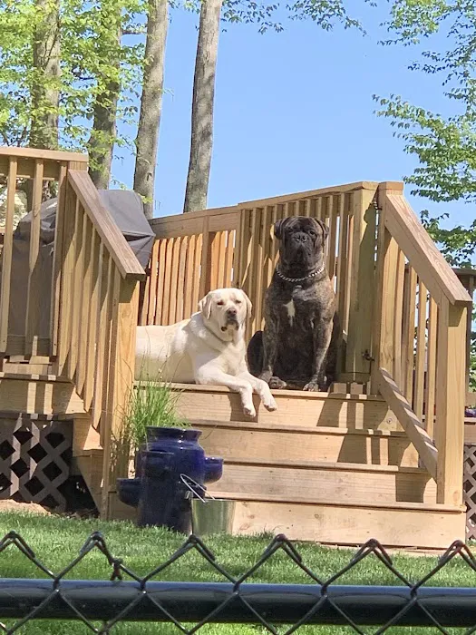 Milford Animal Hospital Picture 1