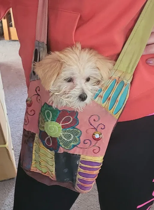Patty's Pups Picture 4