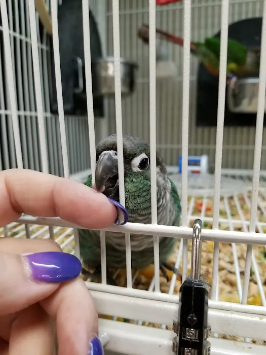 Pet Supplies Plus Battle Creek Picture 5