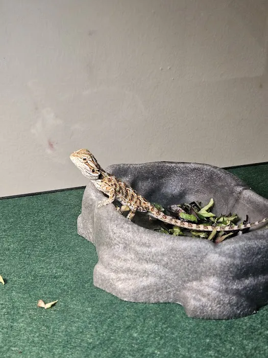 Pet Supplies Plus Battle Creek Picture 8