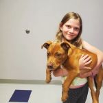 Slatersville Veterinary Clinic