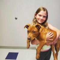 Slatersville Veterinary Clinic ico