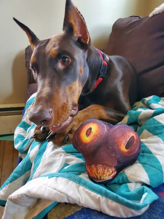 Slatersville Veterinary Clinic Picture 3