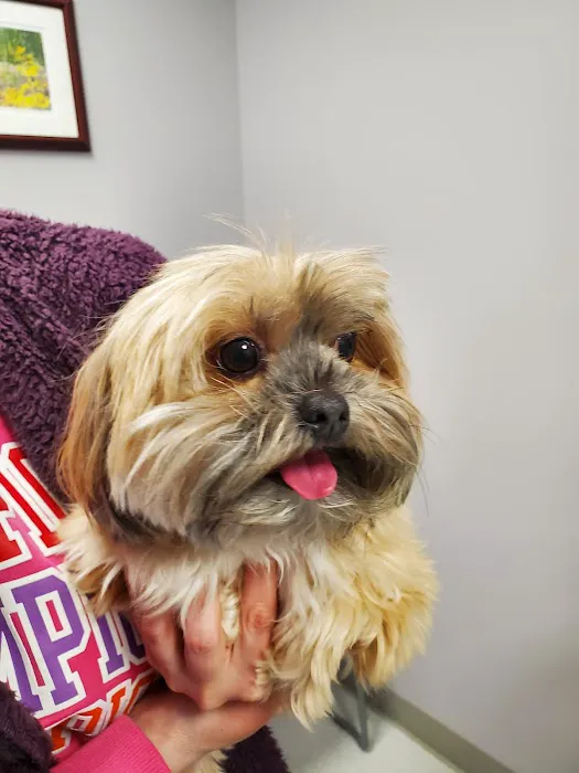 Slatersville Veterinary Clinic Picture 4