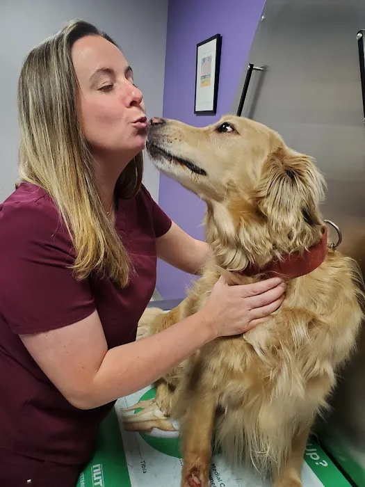 Slatersville Veterinary Clinic Picture 5