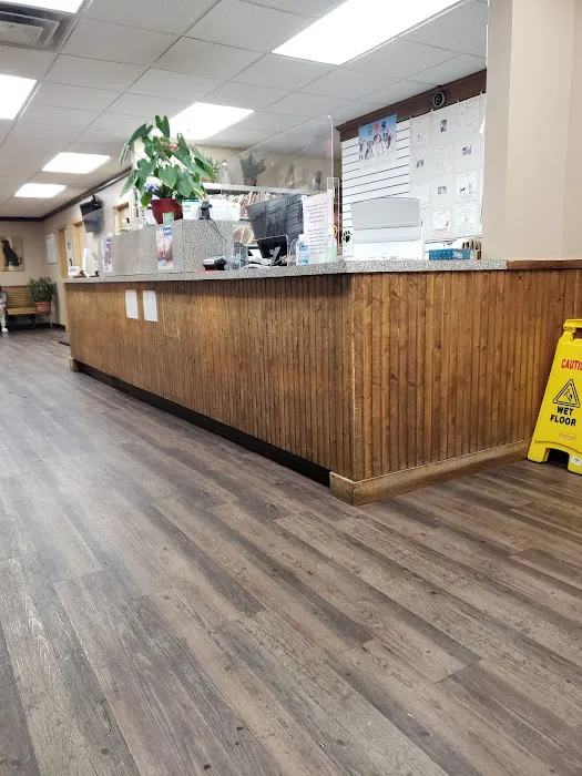 Northern Rhode Island Animal Hospital, A Thrive Pet Healthcare Partner Picture 1