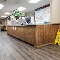 Northern Rhode Island Animal Hospital, A Thrive Pet Healthcare Partner ico