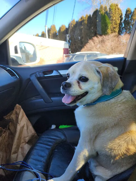 Northern Rhode Island Animal Hospital, A Thrive Pet Healthcare Partner Picture 2