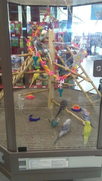 Petco Picture 8