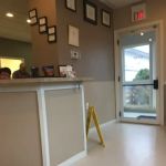 Metrowest Veterinary Associates