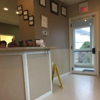 Metrowest Veterinary Associates ico