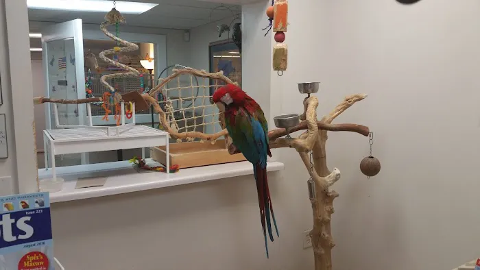 Jo's Exotic Birds Ltd Picture 3