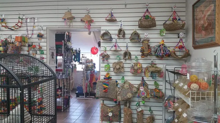 Jo's Exotic Birds Ltd Picture 2