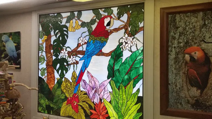 Jo's Exotic Birds Ltd Picture 1