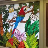 Jo's Exotic Birds Ltd ico